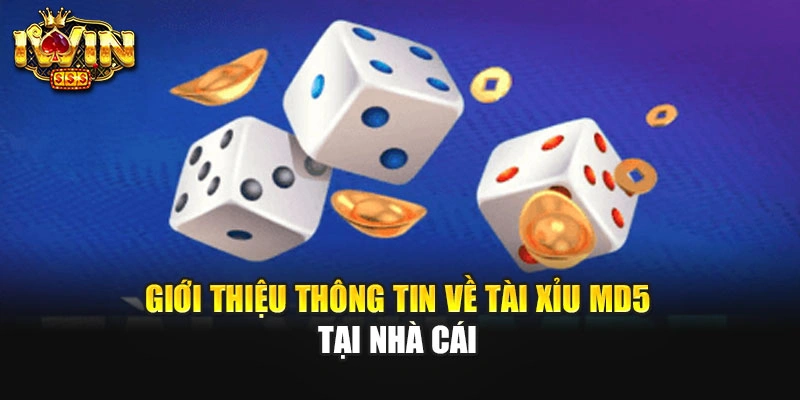 Giới thiệu thông tin về tài xỉu MD5 tại nhà cái